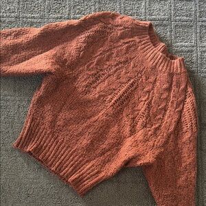 American Eagle Outfitters Brown Crew Neck Sweater